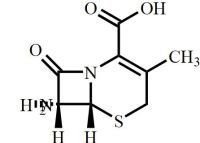 Cefadroxil EP Impurity B (Cefadroxil USP Related Compound B, Cephalexin (Cephalexin) EP Impurity B, Cefradine EP Impurity A, 7-ADCA)
