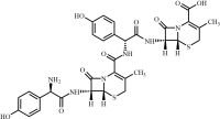 Cefadroxil Dimer