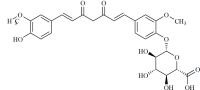 Curcumin Glucuronide