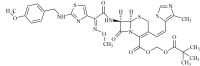 Cefditoren Impurity 16