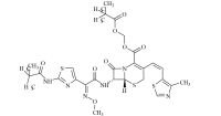 Cefditoren Impurity 8