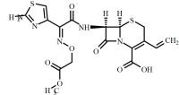 Cefixime Methyl Ester