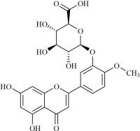 Diosmetin-3-O-Glucuronide