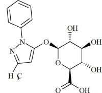 Edaravone Glucuronide