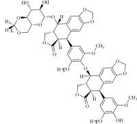 Etoposide EP Impurity R 