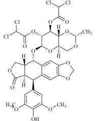2'',3''-Bis-O-(Dichloroacetyl) Etoposide