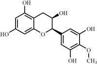 4'-O-Methyl-(-)-Epi-Gallocatechin
