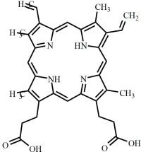 Protoporphyrin IX