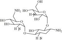 Kanamycin B