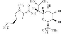 Lincomycin Sulfone