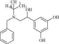 Terbutaline Impurity 13