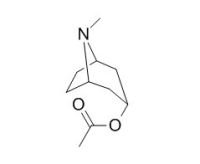 RCLCFN00206