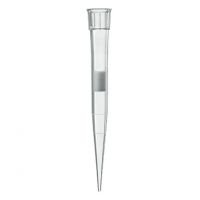 Standard Filter Pipette Tips 5-100µL (53mm long; Graduations at 50µL and 100µL)