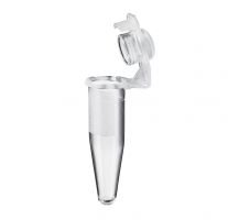 Eppendorf PCR Tubes, 0.2 mL, PCR clean, colorless
