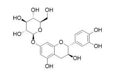 Catechin 7-O-beta-D-glucopyranoside