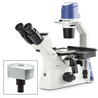 Inverted trinocular microscope with mech, stage 10/20/40x, w/ camera