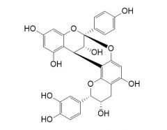 Epiafzelechin-(2beta-O->7,4beta->8)-ent-epicatechin