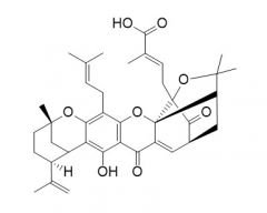 Epigambogellic acid