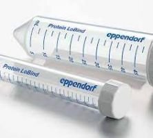 Eppendorf Conical Tubes, 50 mL, Forensic DNA Grade, colorless,individually wrapped