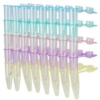 QuickSnap 0.2mL 8-Strip Tubes, with Individually-Attached Dome Caps, Assorted Colors (Blue, Red, Green, Yellow and Violet)