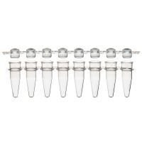 0.2mL 12-Strip Tubes, with Separate 12-Strip clear Dome caps, Natural