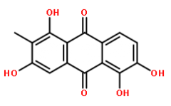 3-Hydroxy-Morindone