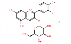 Cyanidin-3-glucoside chloride; Chrysanthemin