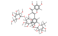 Kaempferol-3-O-(2"-O-?-D- glucopyl)-?-D–rutinoside