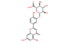 Luteolin-3'-D-glucuronide