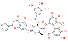 Pinocembrin 7-O-(3''-galloyl-4'',6''-(S)-hexahydroxydiphenoyl)-?-D-glucose
