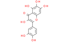 6-Hydroxyquercetin
