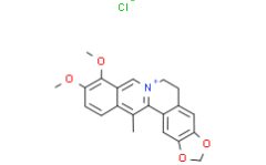 13-Methylberberine