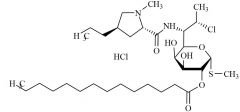Clindamycin Myristate HCl