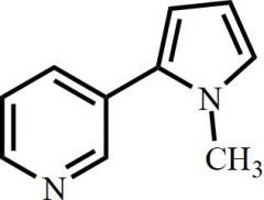 Nicotine EP Impurity B (beta-Nicotyrine)