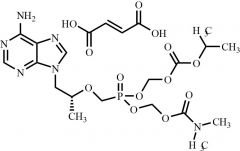Dimethylaminocarboxymethyl POC Tenofovir Fumarate