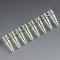 PCR Reaction Tube Strip, 0.2mL, Thin Wall, PP, Yellow