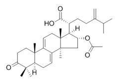 RCLCFN96159