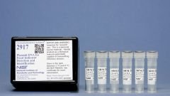 Plasmid DNA for Fecal Indicator Detection and Identification