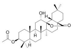 RCLCFN97080