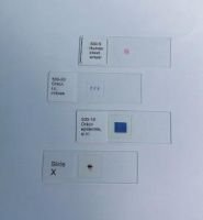 Prepared Microscope Slides