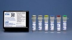 EGFR and MET Gene Copy Number Standards for Cancer Measurements
