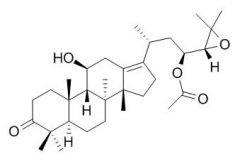 RCLCFN90158