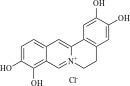 2,3,9,10-Tetrahydroxy Berberine Chloride