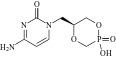 Cyclic Cidofovir