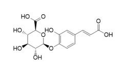 Caffeic acid 4-O-glucuronide