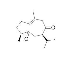 RCLCFN99146