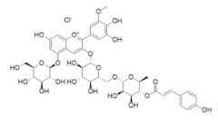 Petunidin 3-rutinoside (p-coumarin)-5-glucoside