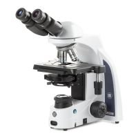 iScope binocular microscope, EWF 10x/22mm, eyepiece, PLPHi 10/20/S40/S100x