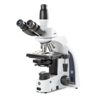 iScope trinocular microscope EWF 10x/22mm, eyepiece, PLPHi 10/20/S40/S100x oil IOS
