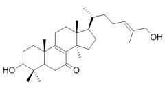 RCLCFN90303